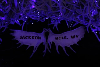 Antler arches adorned with purple lights form a decorative arrangement overhead. In the center, a wooden sign shaped like moose antlers displays the words 'JACKSON HOLE, WY.' The background is dark, emphasizing the glowing lights and unique structure.