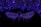Antler arches adorned with purple lights form a decorative arrangement overhead. In the center, a wooden sign shaped like moose antlers displays the words 'JACKSON HOLE, WY.' The background is dark, emphasizing the glowing lights and unique structure.