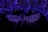 Antler arches adorned with purple lights form a decorative arrangement overhead. In the center, a wooden sign shaped like moose antlers displays the words 'JACKSON HOLE, WY.' The background is dark, emphasizing the glowing lights and unique structure.
