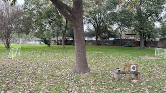 A spacious backyard featuring artificial turf with a seating area and children's play zone.