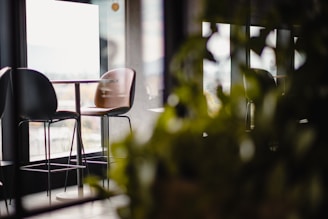 A sleek, modern restaurant interior with natural green leaf accents and elegant minimalist design.