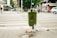 A green trash can overflowing with various types of litter, including bottles and cans, is situated on a city sidewalk. The surrounding area shows a crosswalk with some pedestrians in the distance. Nearby shops and parked cars create an urban environment, with visible greenery in the background.