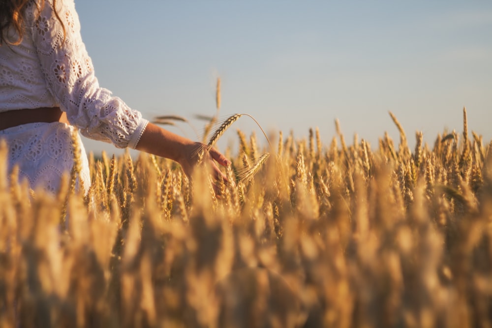 a woman standing in a field of wheat