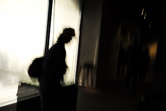 a blurry image of a person walking by a window