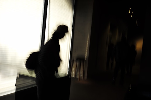 a blurry image of a person walking by a window