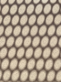 a close up view of a white surface with small circles