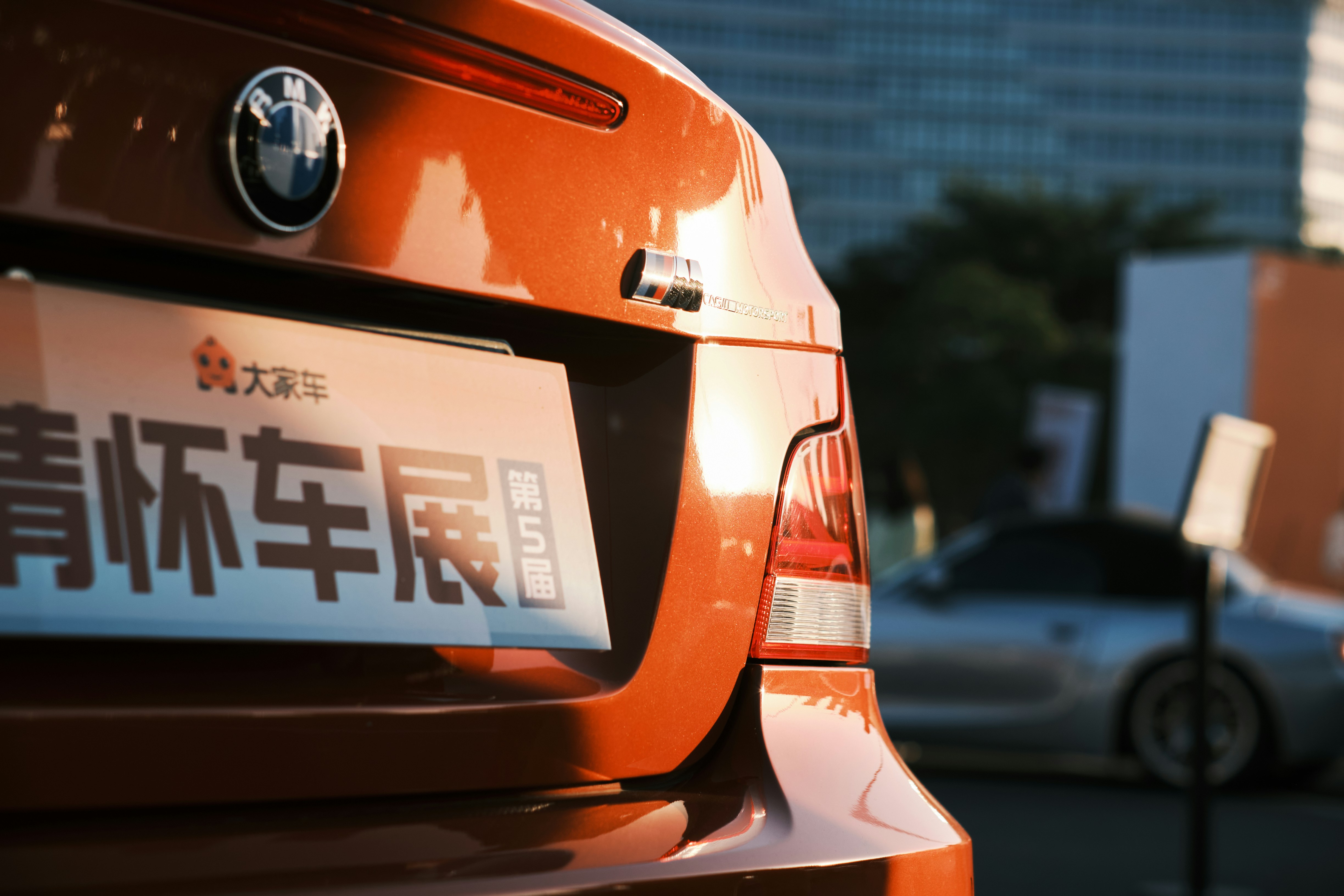 a close up of the trunk of a car