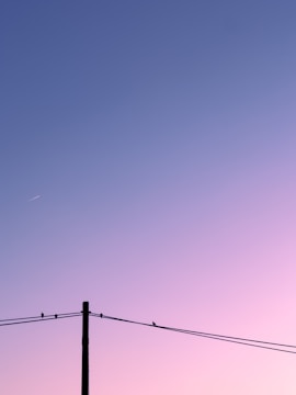 A tranquil sky gradient transitions from soft pink to light blue. Silhouetted birds perch on power lines that intersect with a utility pole, while a faint jet trail streaks across the sky.