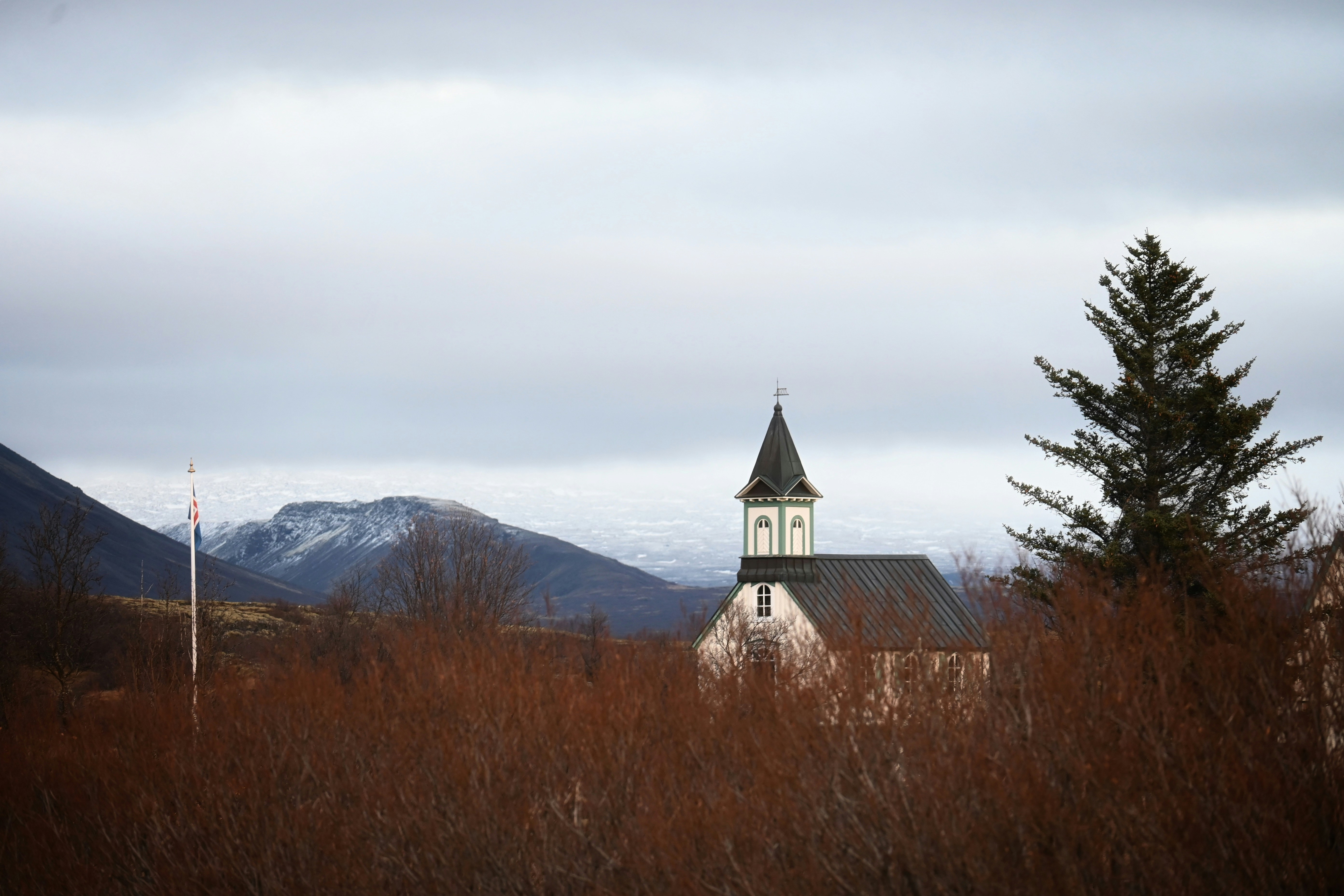 a church with a steeple surrounded by tall grass