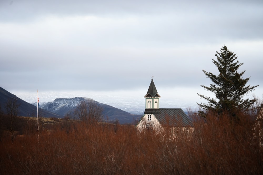 a church with a steeple surrounded by tall grass