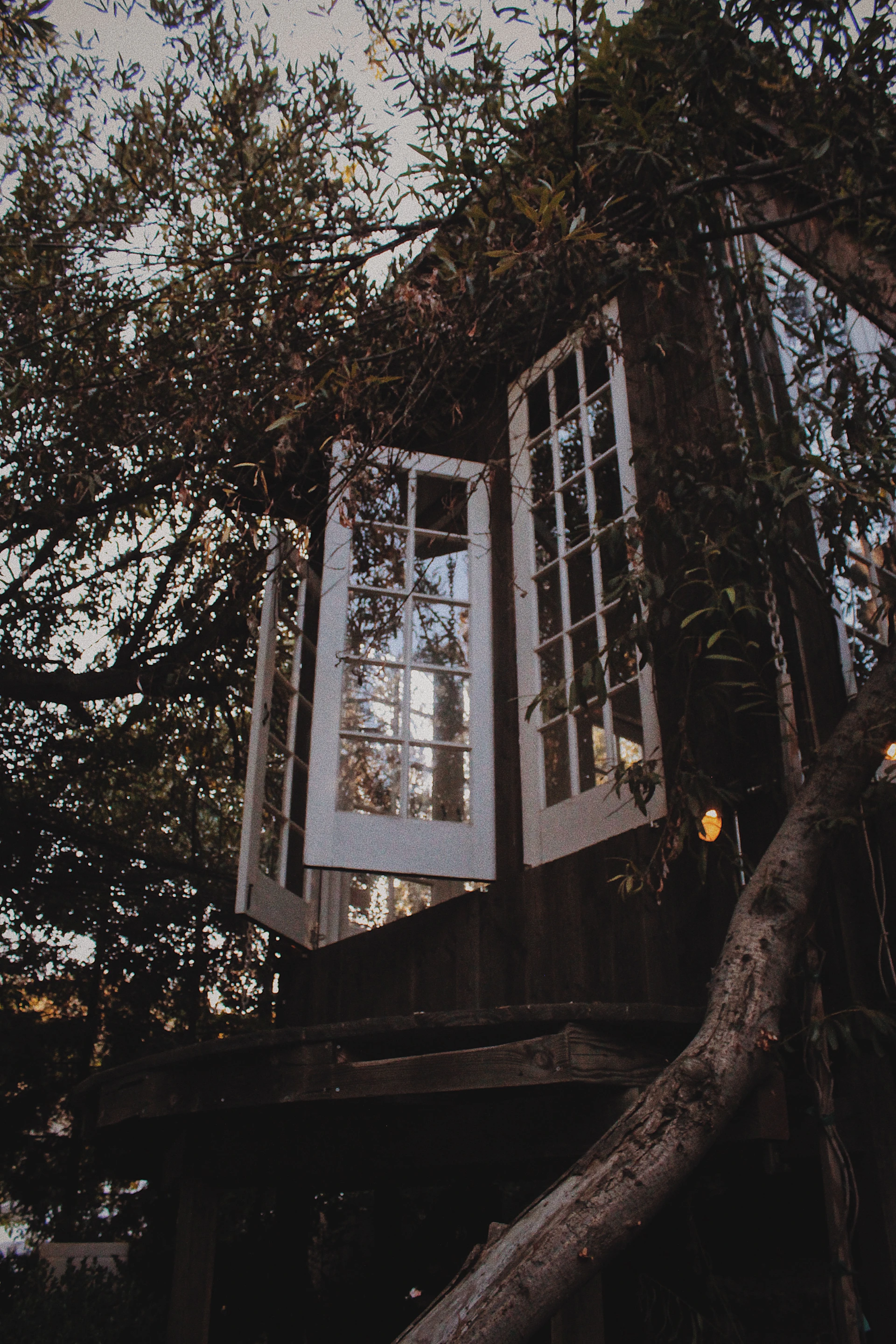 An imaginative scene of a cozy treehouse nestled among tall trees, with tiny details that invite closer look.