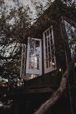 A wooden treehouse nestled among dense foliage, featuring large open windows with white frames. The structure is partially obscured by overhanging branches with leaves, creating an immersive and natural environment.