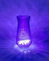 Artistic 3D printed vase with intricate lattice design, glowing softly in natural light.