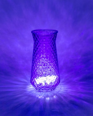 Artistic 3D printed vase with intricate lattice design, glowing softly in natural light.