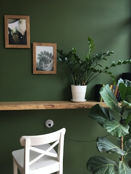 A minimalist interior scene featuring a green wall with two framed botanical artworks. A white potted plant sits on a wooden shelf below the frames. A white chair is positioned in front of the shelf, and there is a larger potted plant on the floor. Several books are partially visible on the right.