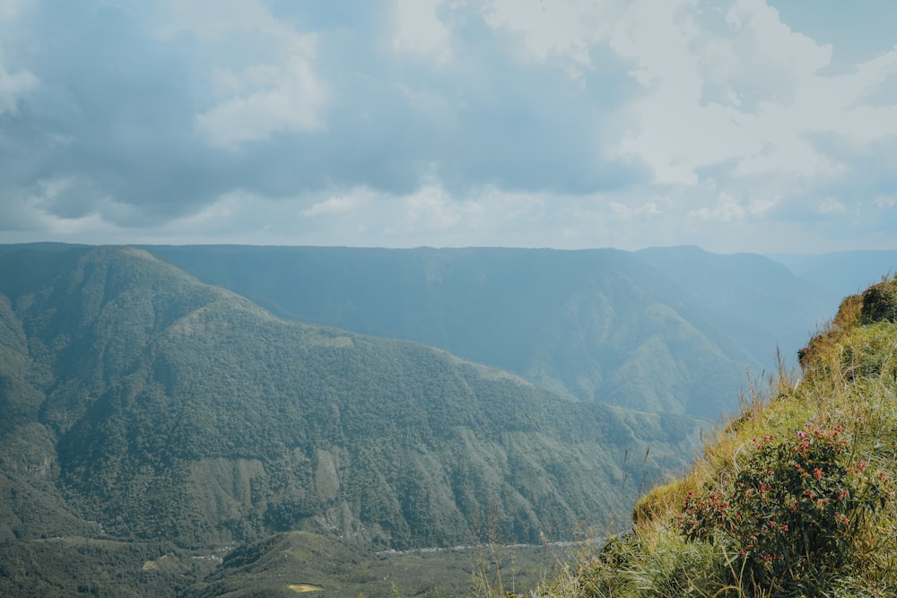 a scenic view of a valley with mountains in the background