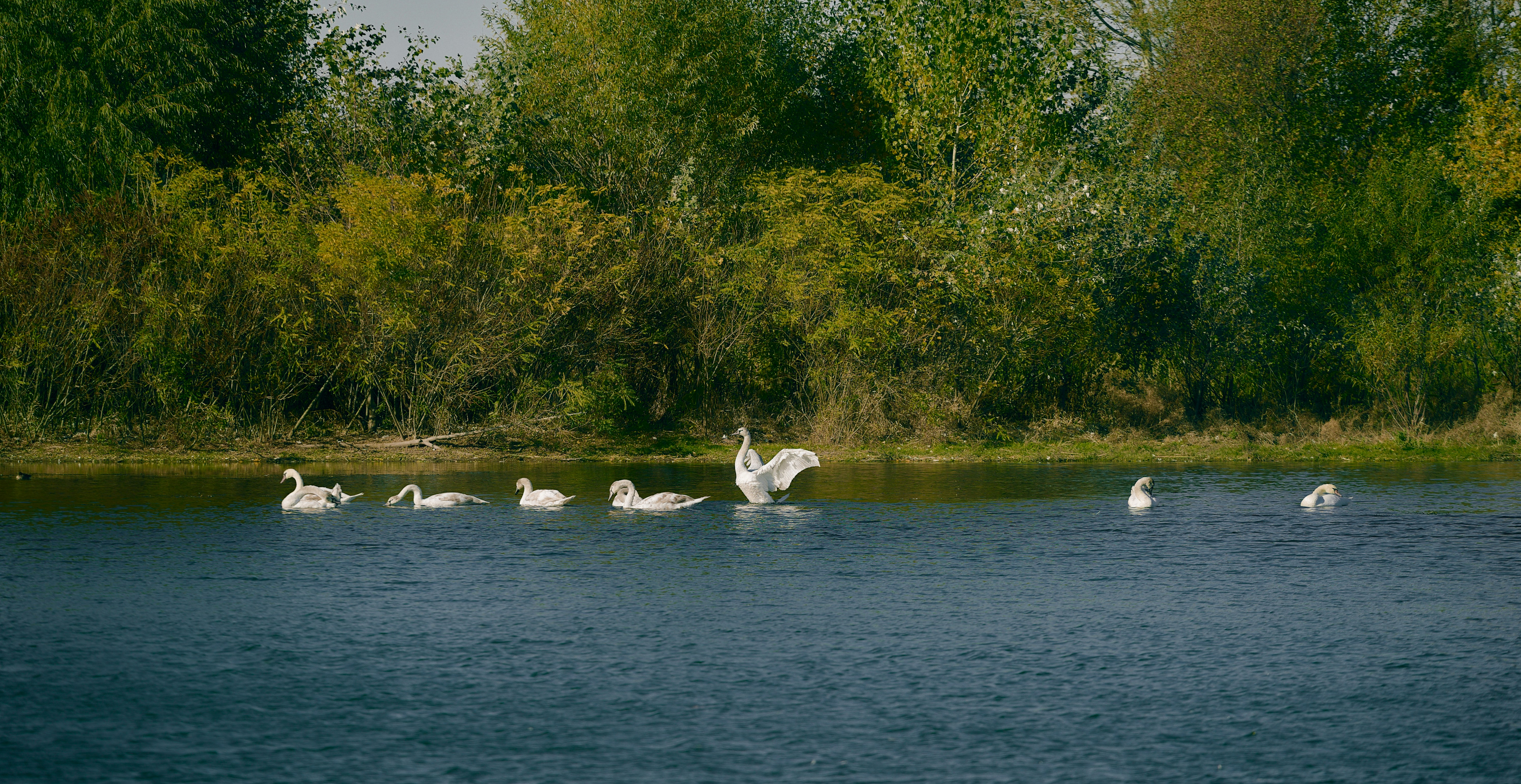 Photo by blooddrainer