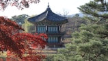 a tall tower sitting in the middle of a forest