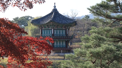 a tall tower sitting in the middle of a forest
