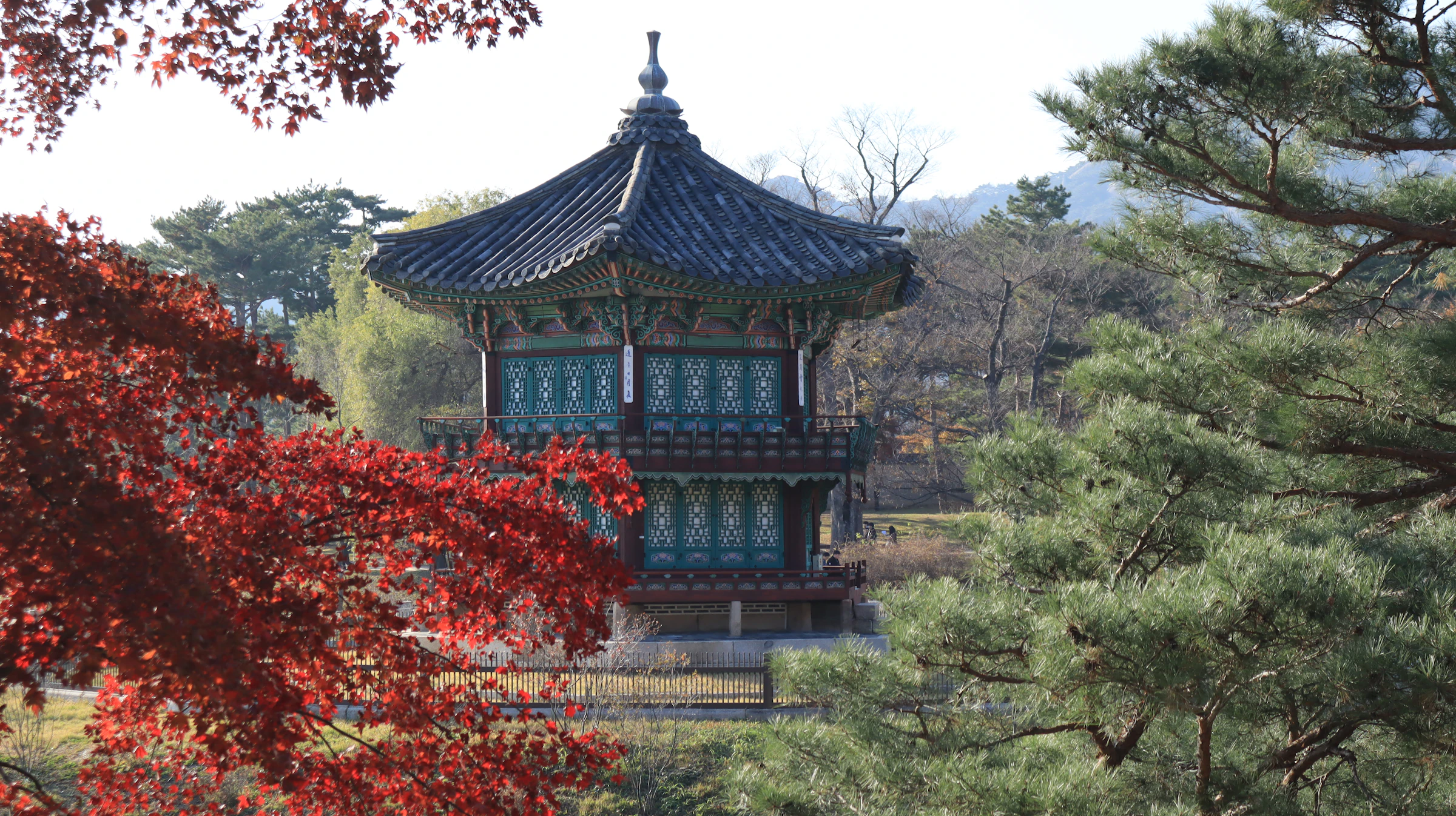 Hyangwonjeong pavilion at Gyeongbokgung Palace in Seoul, framed by autumn maple leaves