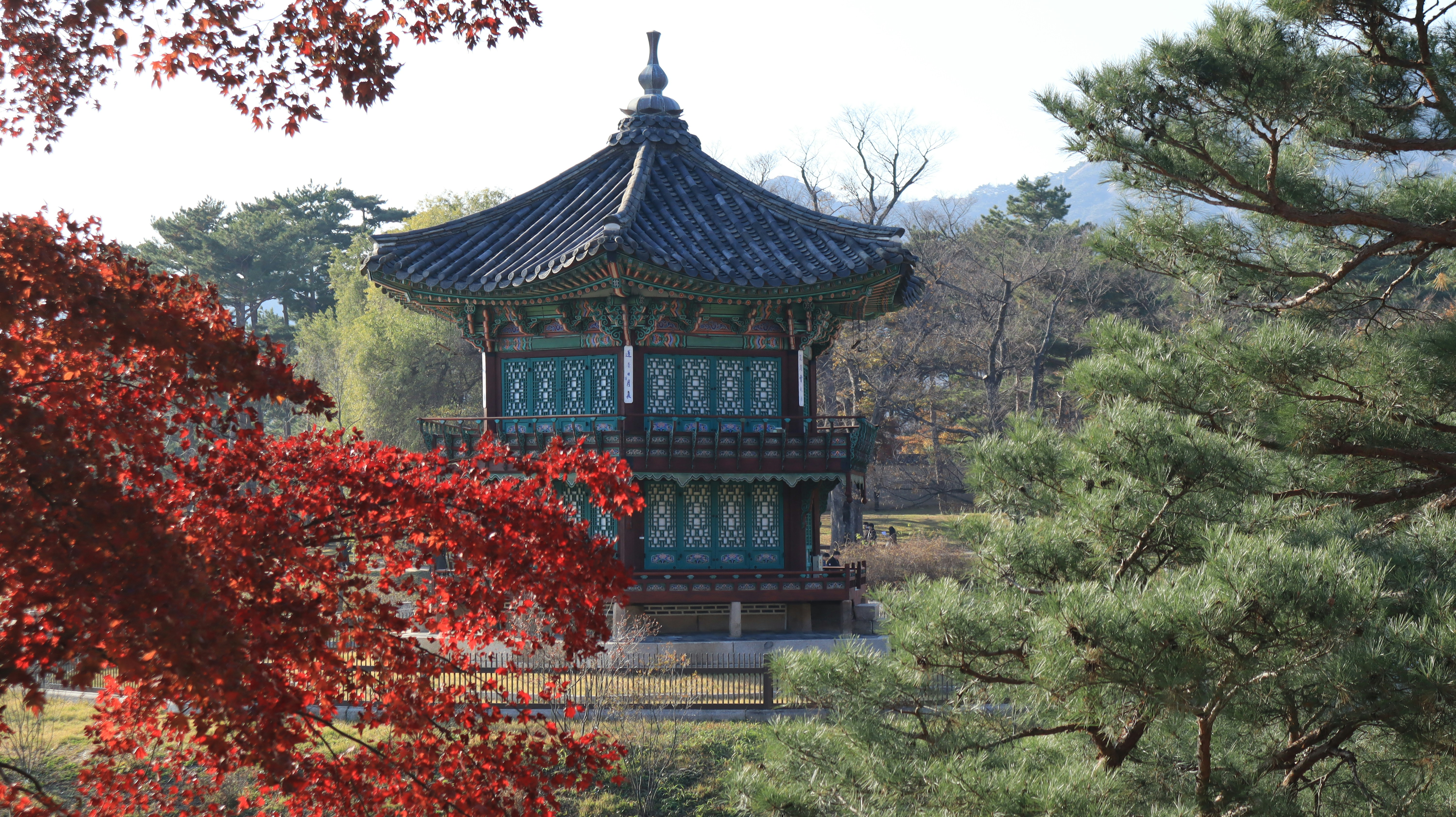 Cours de coréen immersif