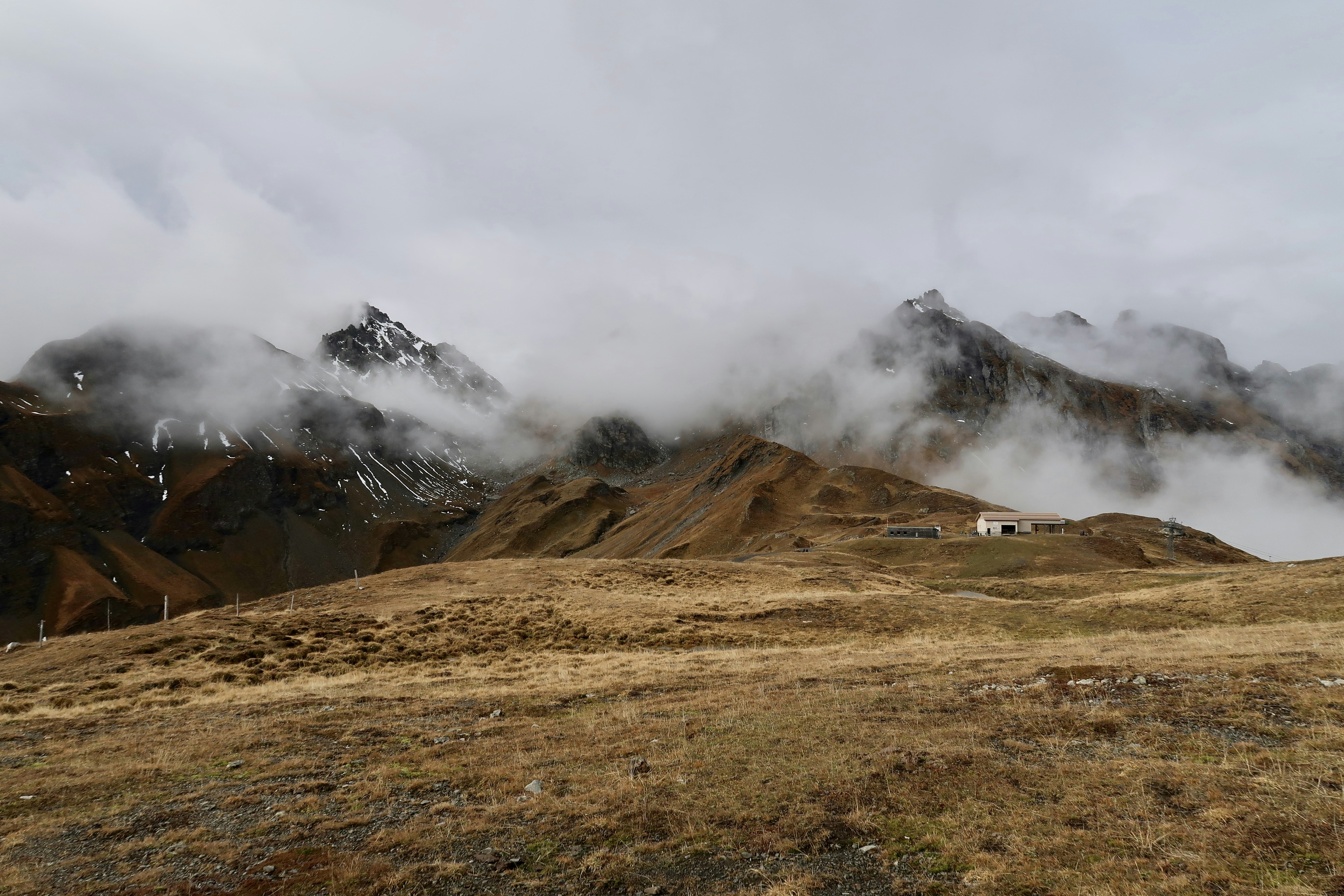 a grassy field with mountains in the background