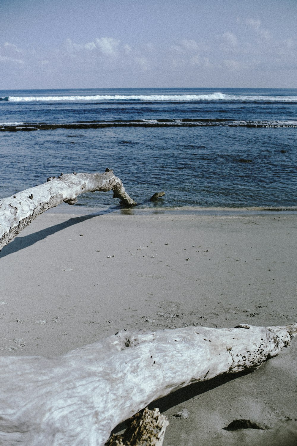 a log laying on a beach next to the ocean