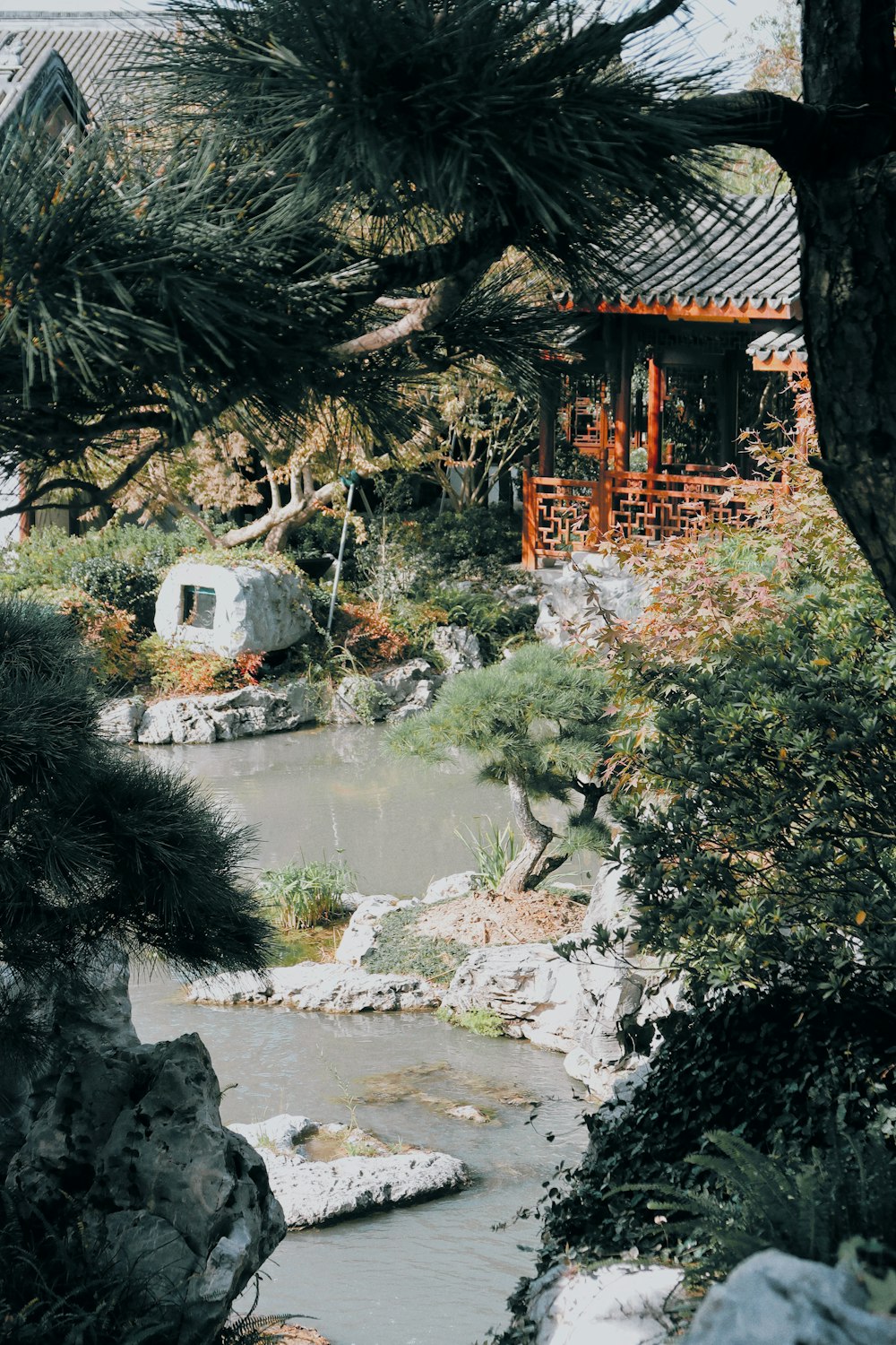 a small stream running through a lush green forest