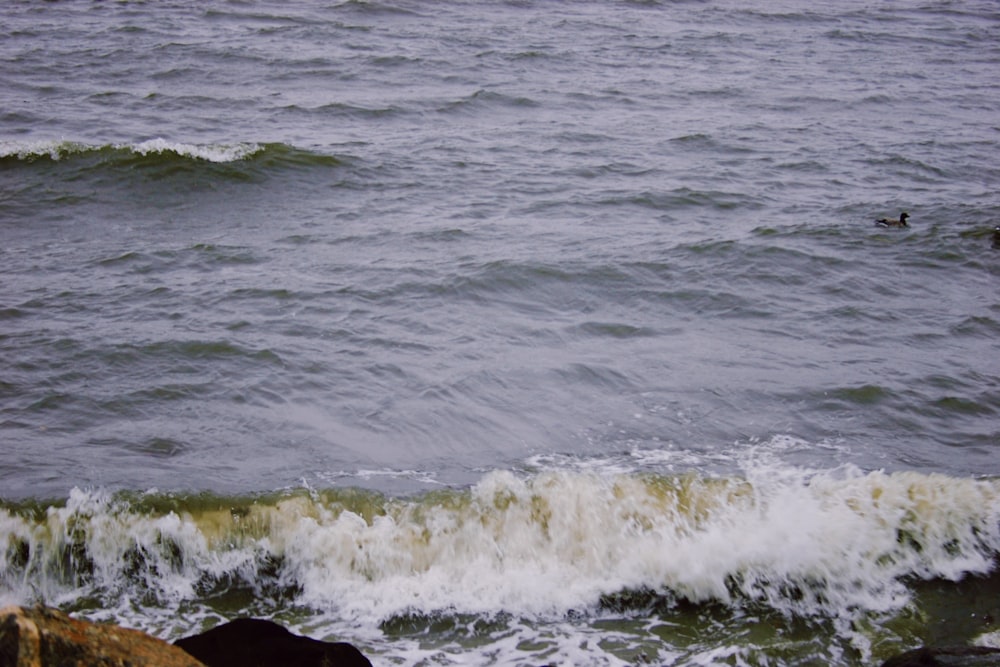 a person riding a surfboard on a wave in the ocean