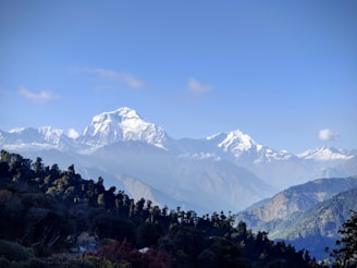 A serene view of Chopta meadows with the Tungnath temple nestled among lush rhododendron forests under a clear blue sky.