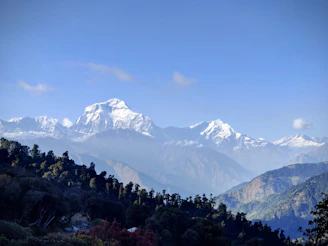A serene view of snow-capped Himalayan mountains with terraced organic farms in the foreground under a clear blue sky.