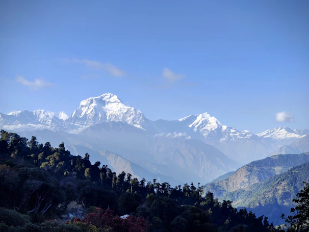 A serene view of Kashmir's snow-capped mountains under a clear blue sky.