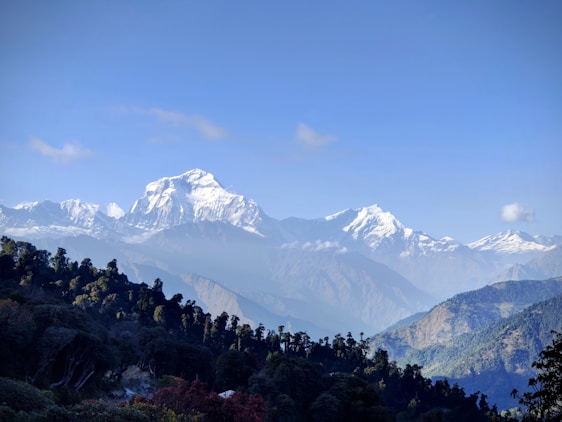 A serene view of Chopta meadows with the Tungnath temple nestled among lush rhododendron forests under a clear blue sky.