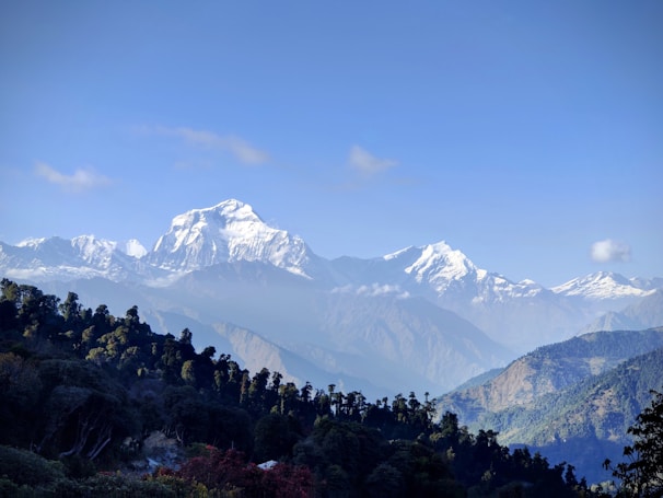A serene view of Tungnath temple nestled among lush rhododendron forests under a clear blue sky.