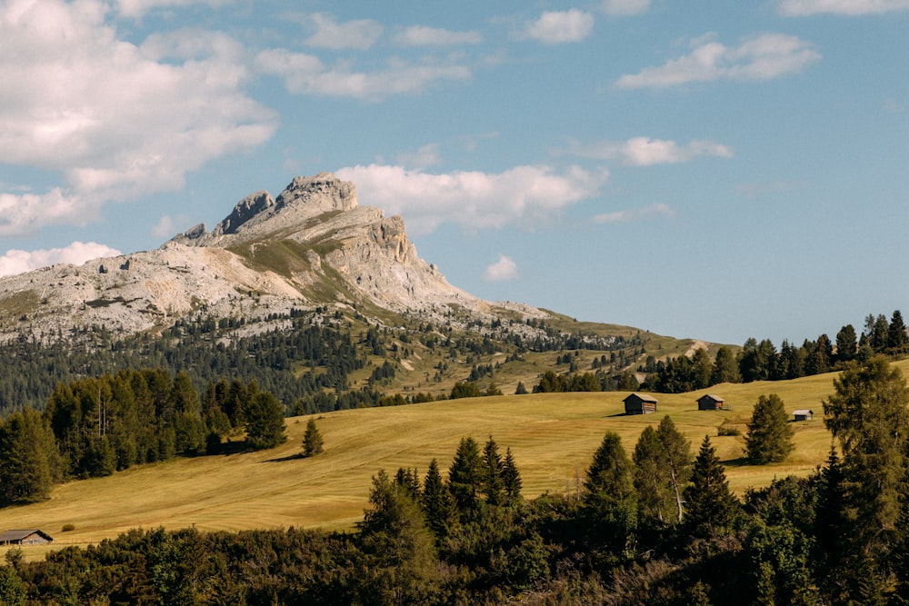 a mountain with a few trees in the foreground