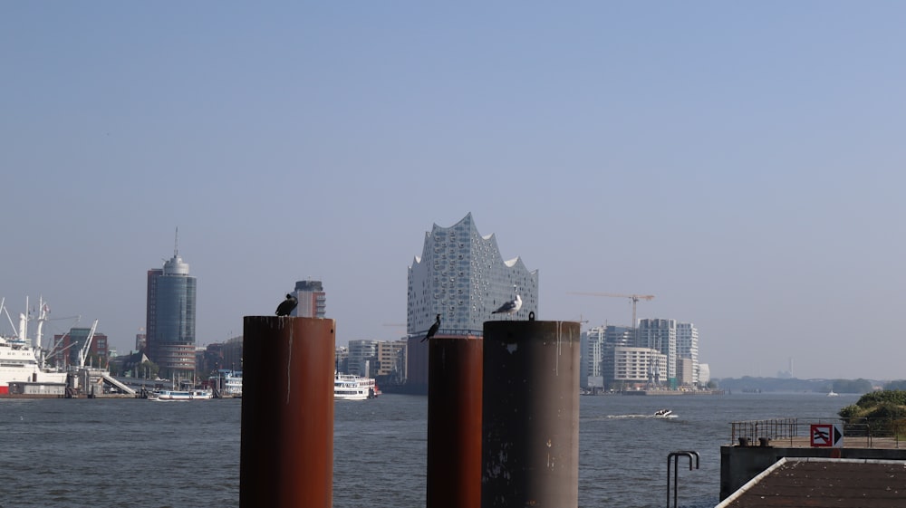 a bird sitting on top of two metal poles