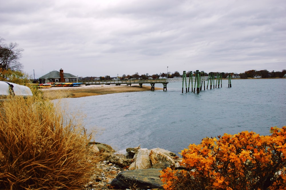 a body of water with a dock in the background