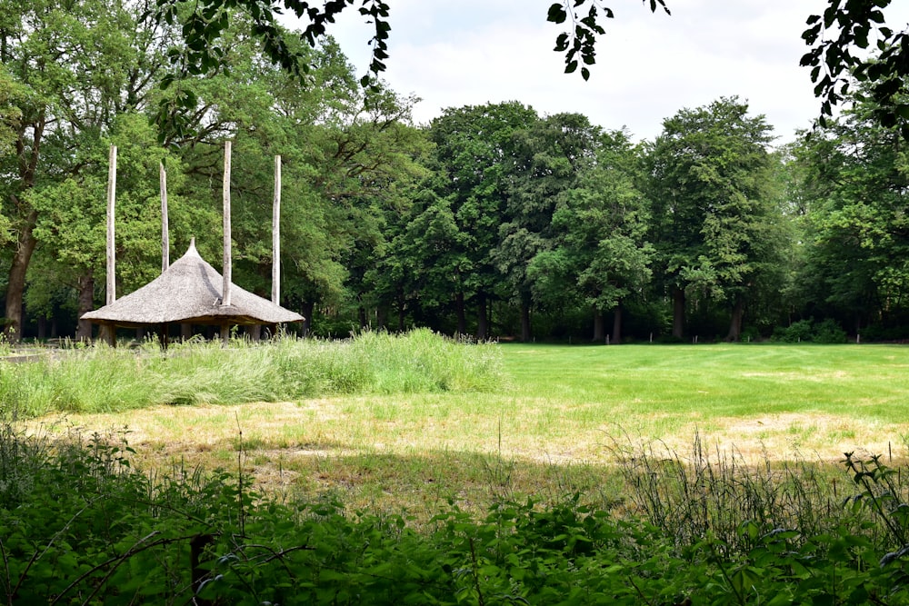 ein Pavillon auf einer Wiese mit Bäumen im Hintergrund