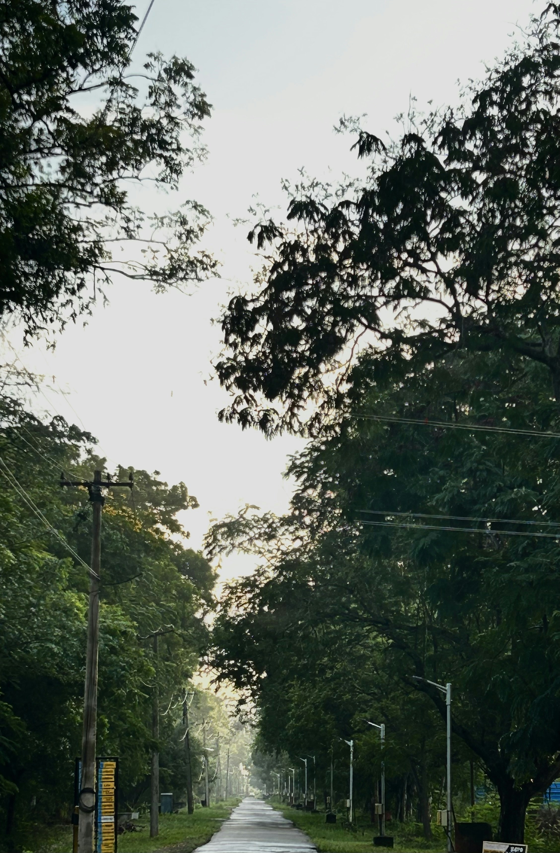 Photo by rajgajendran