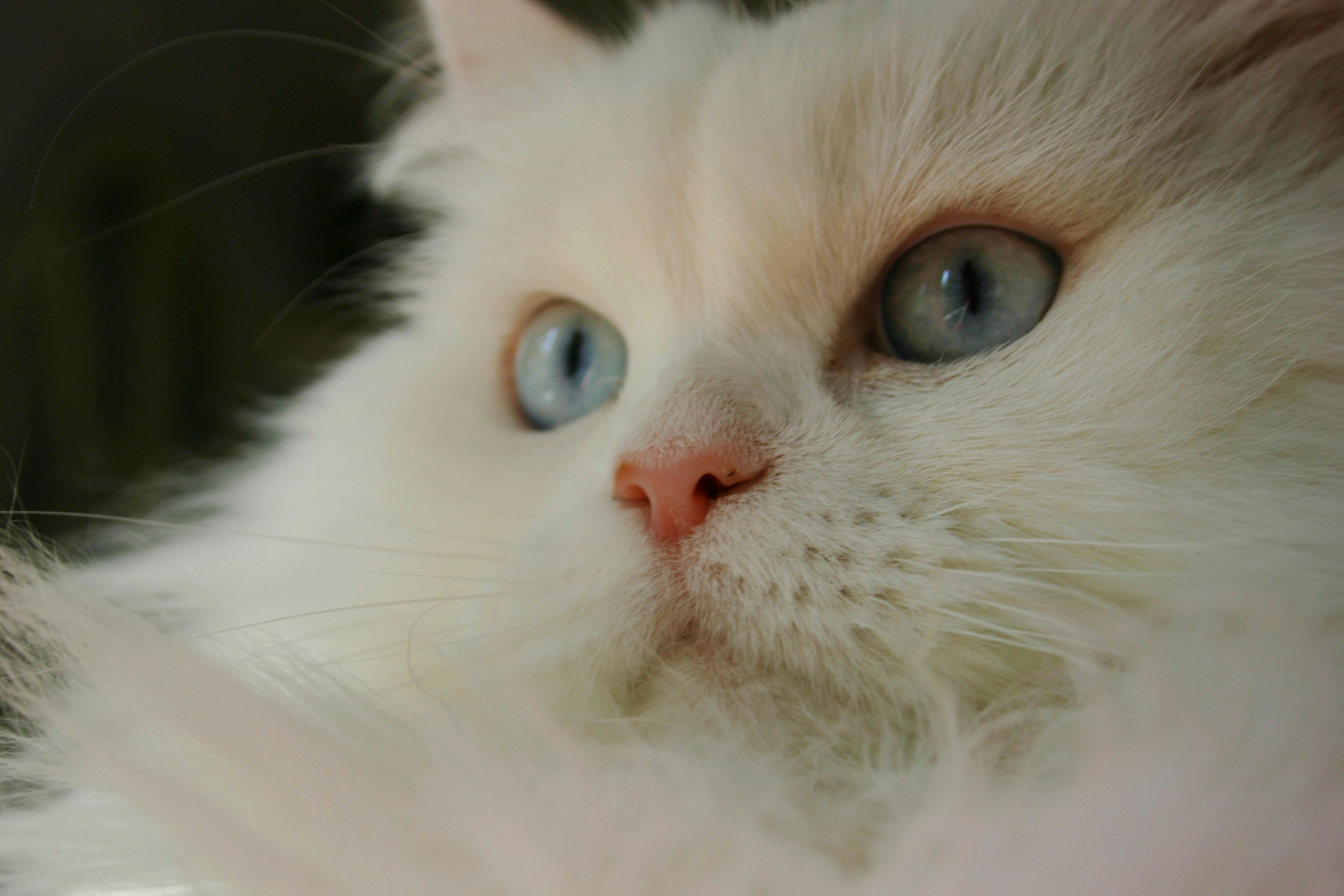 Photo by ananoelleeeee