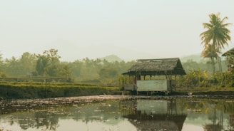 A rustic wooden hut with a thatched roof is situated near a calm body of water, reflecting its picturesque surroundings. Lush greenery and palm trees stretch into the distance under a hazy sky, while a mountain range appears faintly in the background.