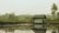 A rustic wooden hut with a thatched roof is situated near a calm body of water, reflecting its picturesque surroundings. Lush greenery and palm trees stretch into the distance under a hazy sky, while a mountain range appears faintly in the background.