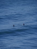 two people in the ocean on their surfboards
