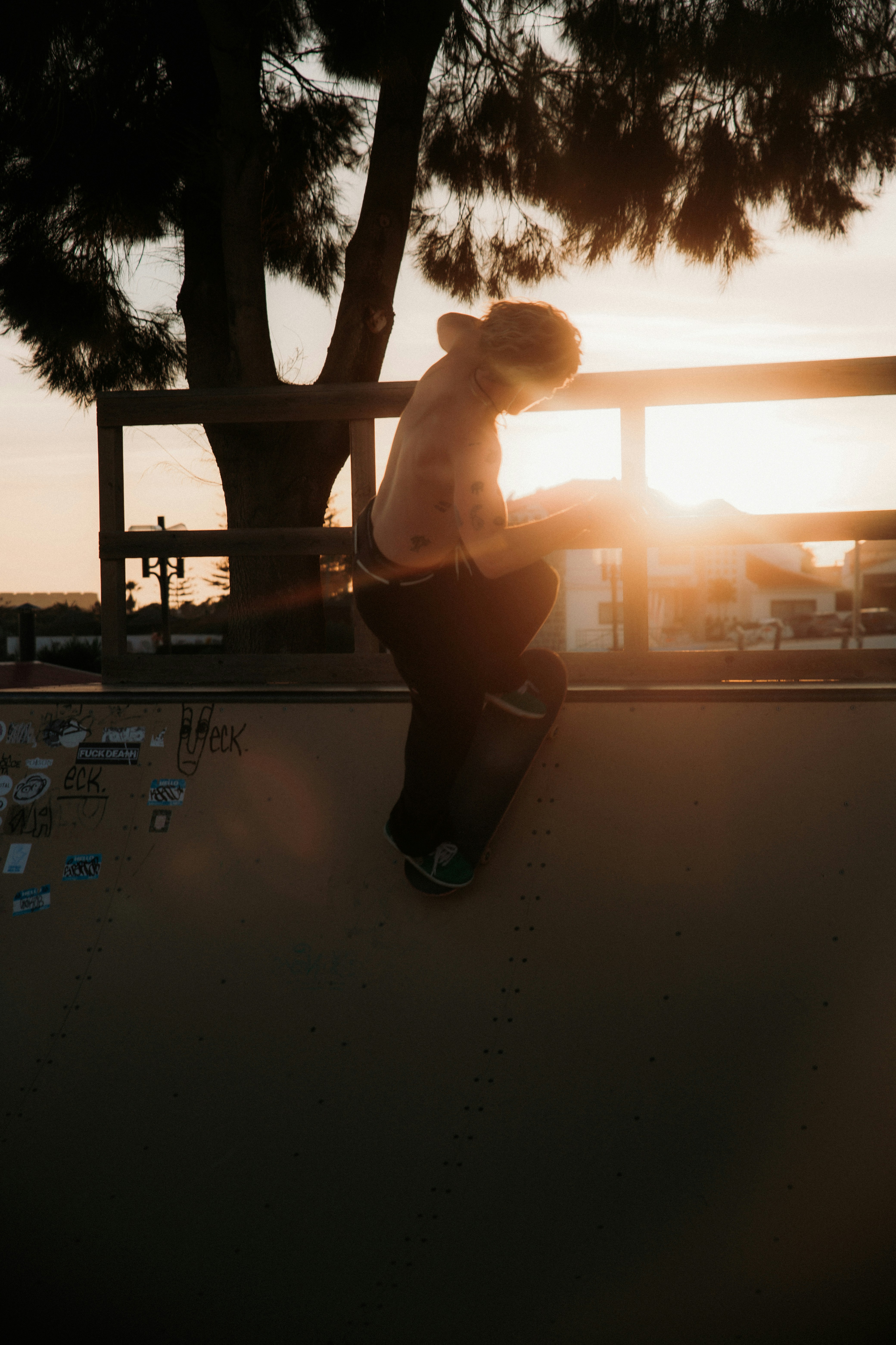 Skater in Halfpipe, with sun.