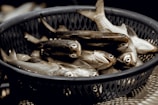 A group of fresh fish lie in a round plastic basket, with their scales glistening under a light. The fish are uniformly arranged, their eyes wide open and mouths slightly agape. The basket has a wicker-like pattern and sits on a wooden surface.