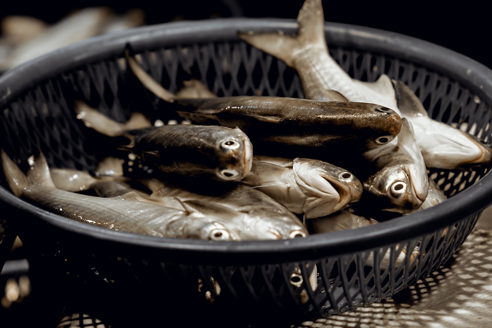 una canasta llena de peces muertos encima de una mesa