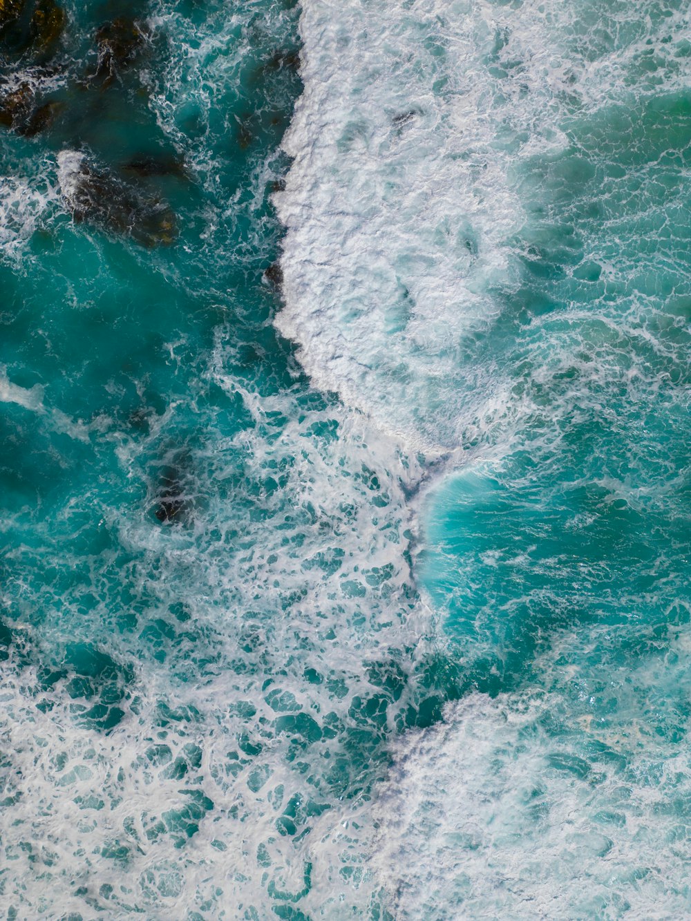 a bird flying over a body of water