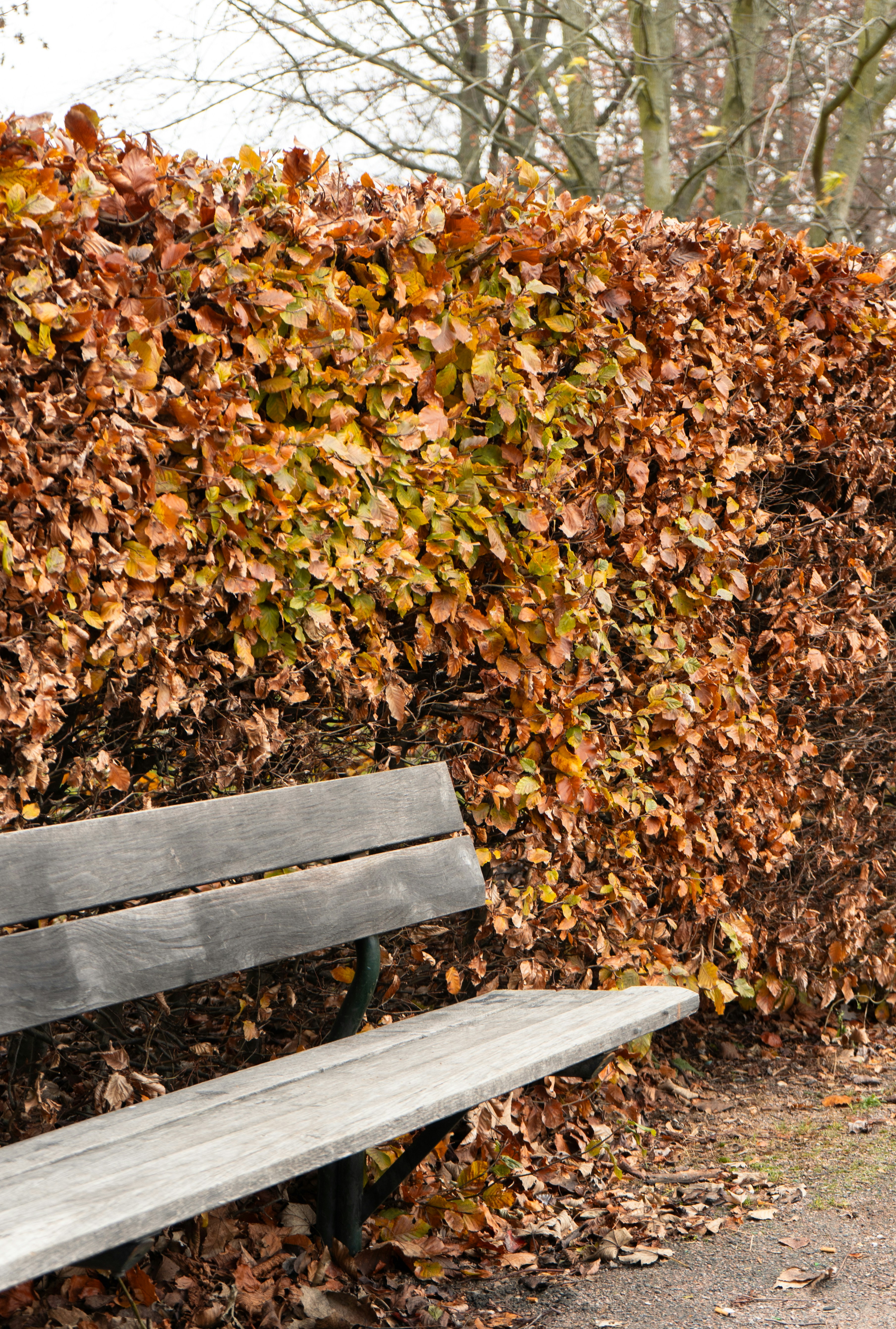 Photo by karthickgislen