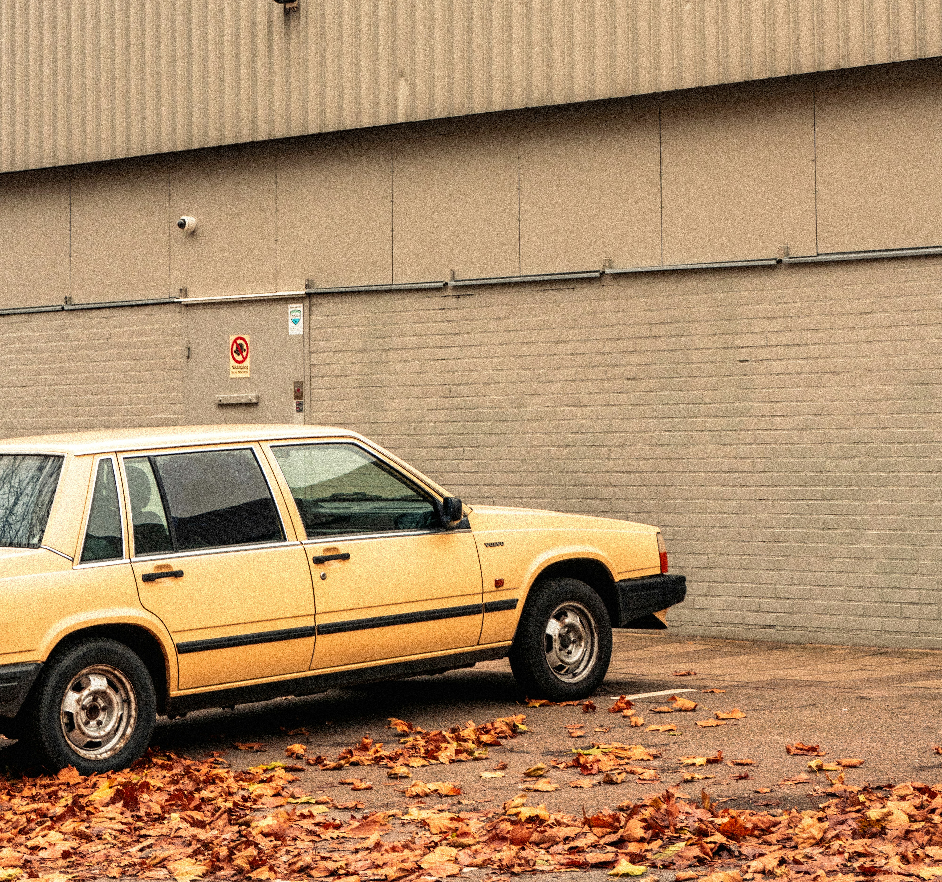 Photo by karthickgislen