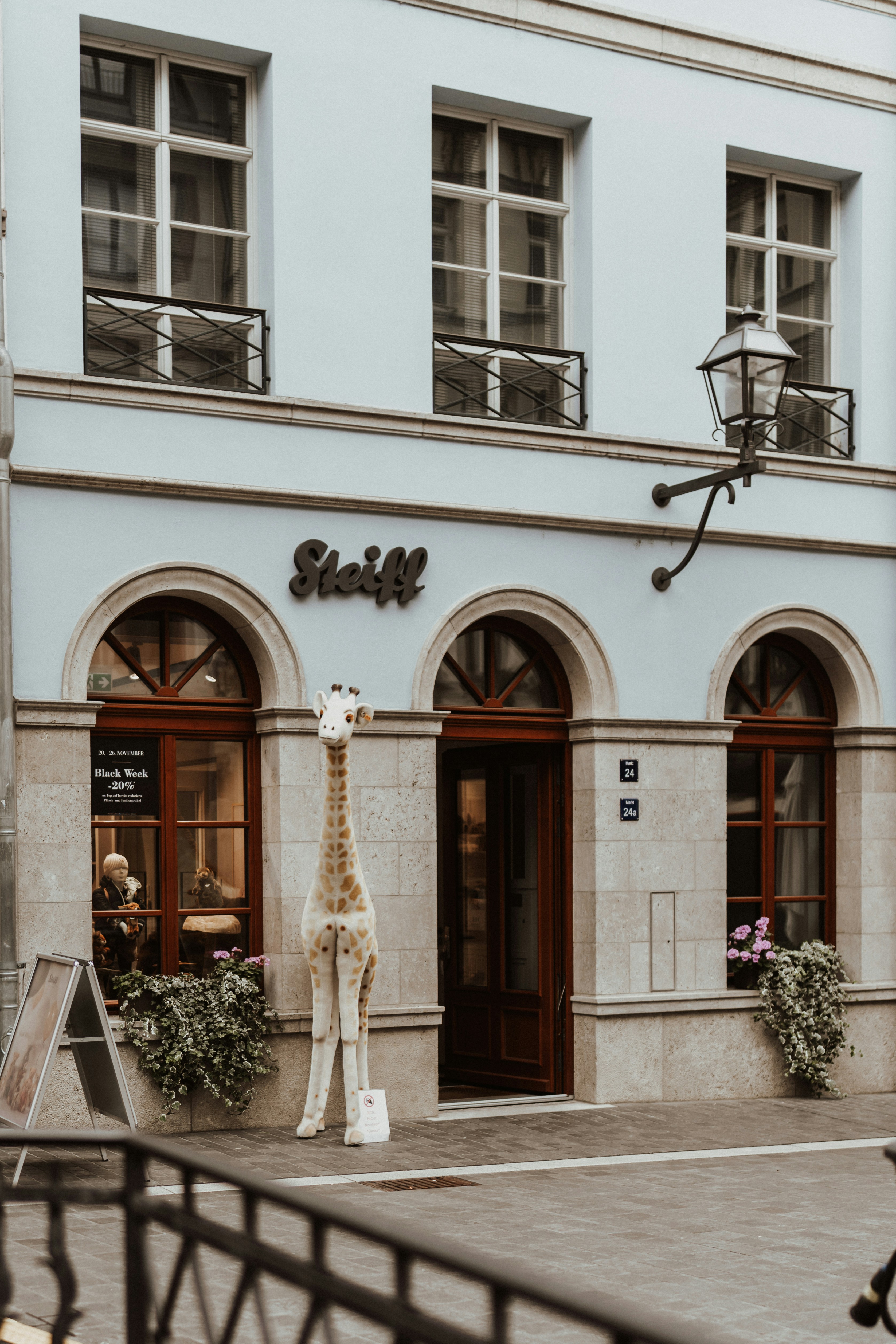 Photo by masoodaslami